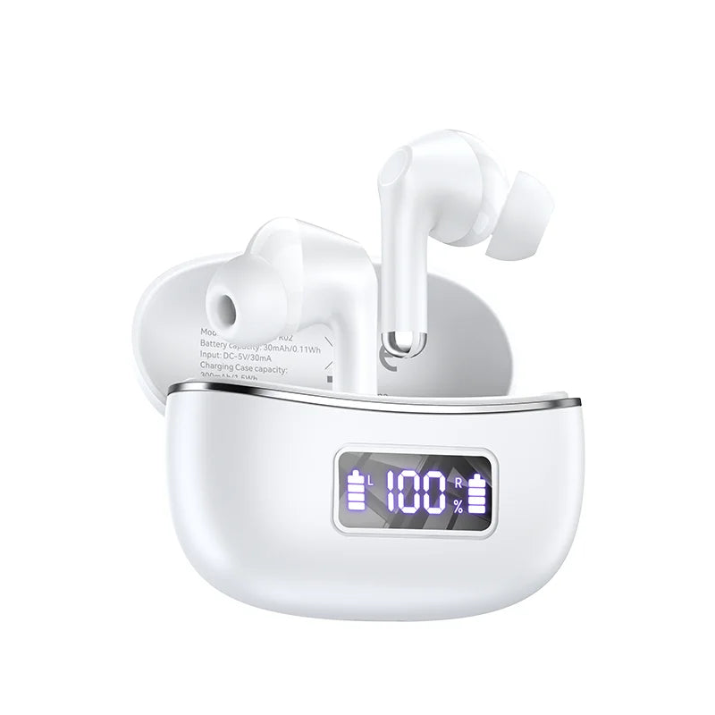 Rocoren Echo R02 ANC Earbuds